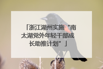 浙江湖州实施“南太湖党外年轻干部成长助推计划”