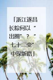 浙江遂昌长粽何以“出圈”？“七十二变”中探新路