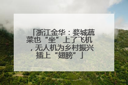 浙江金华：婺城蔬菜也“坐”上了飞机，无人机为乡村振兴插上“翅膀”