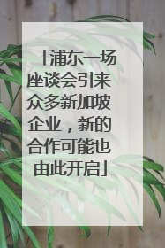 浦东一场座谈会引来众多新加坡企业，新的合作可能也由此开启