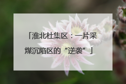 淮北杜集区：一片采煤沉陷区的“逆袭”