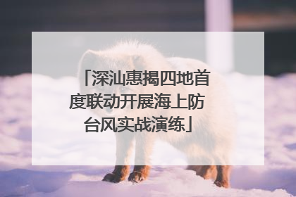 深汕惠揭四地首度联动开展海上防台风实战演练