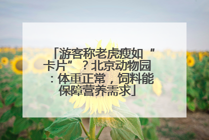 游客称老虎瘦如“卡片”？北京动物园：体重正常，饲料能保障营养需求
