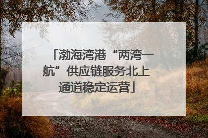 渤海湾港“两湾一航”供应链服务北上通道稳定运营