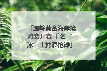 温岭黄金海岸抢滩赛开赛 千名“泳”士搏浪抢滩