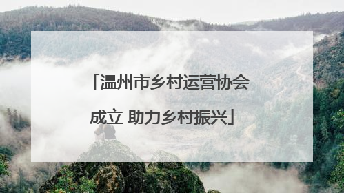 温州市乡村运营协会成立 助力乡村振兴