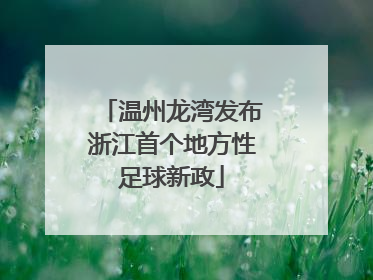 温州龙湾发布浙江首个地方性足球新政
