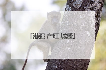 港强 产旺 城盛