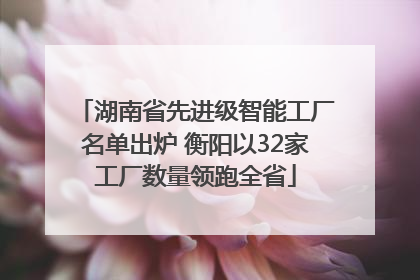 湖南省先进级智能工厂名单出炉 衡阳以32家工厂数量领跑全省