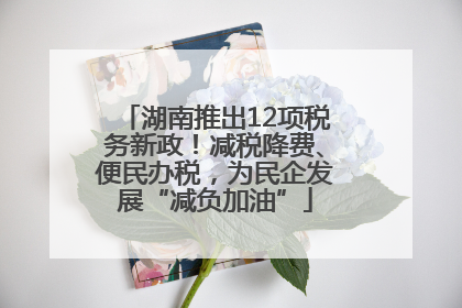 湖南推出12项税务新政！减税降费、便民办税，为民企发展“减负加油”
