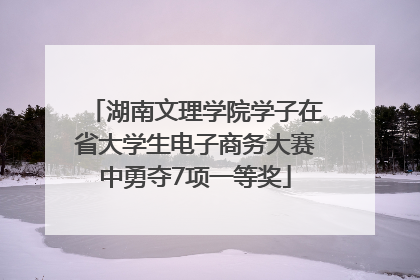 湖南文理学院学子在省大学生电子商务大赛中勇夺7项一等奖