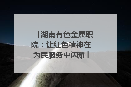 湖南有色金属职院：让红色精神在为民服务中闪耀