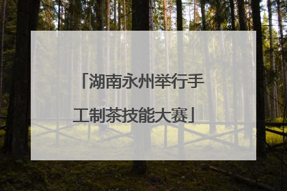 湖南永州举行手工制茶技能大赛