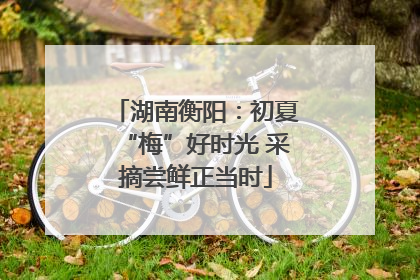 湖南衡阳：初夏“梅”好时光 采摘尝鲜正当时