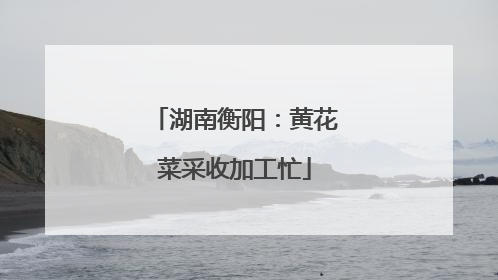 湖南衡阳：黄花菜采收加工忙