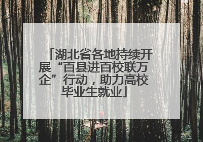 湖北省各地持续开展“百县进百校联万企”行动，助力高校毕业生就业