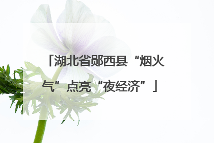 湖北省郧西县“烟火气”点亮“夜经济”