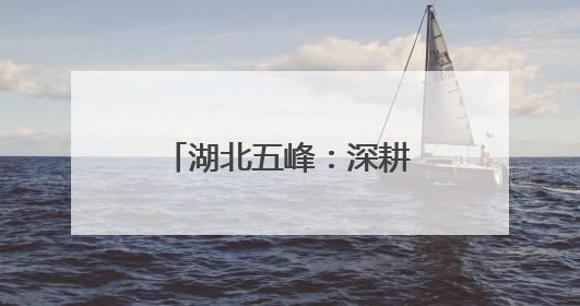 湖北五峰：深耕“茶乡警务” 守护春茶经济