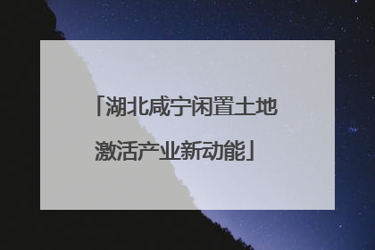 湖北咸宁闲置土地激活产业新动能