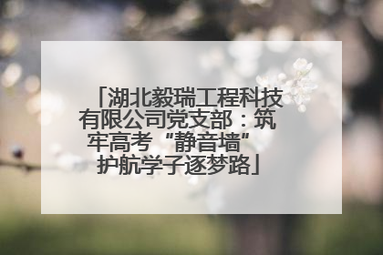 湖北毅瑞工程科技有限公司党支部：筑牢高考“静音墙” 护航学子逐梦路