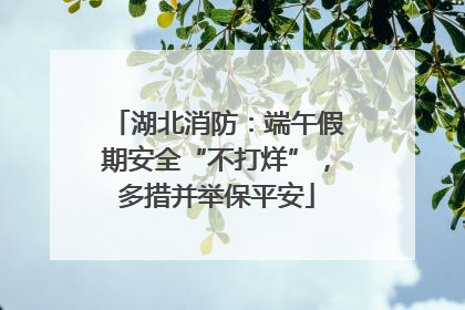 湖北消防：端午假期安全“不打烊”，多措并举保平安
