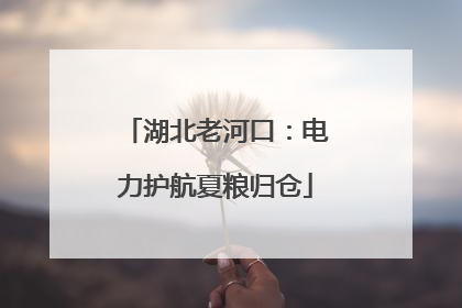 湖北老河口：电力护航夏粮归仓