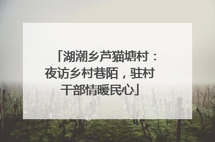 湖潮乡芦猫塘村：夜访乡村巷陌，驻村干部情暖民心