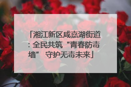 湘江新区咸嘉湖街道：全民共筑“青春防毒墙” 守护无毒未来