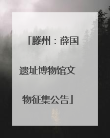 滕州：薛国遗址博物馆文物征集公告