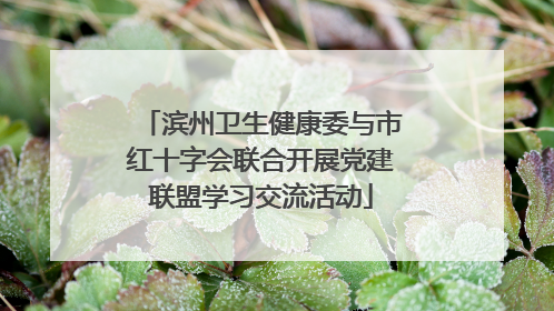滨州卫生健康委与市红十字会联合开展党建联盟学习交流活动