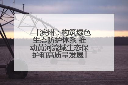 滨州：构筑绿色生态防护体系 推动黄河流域生态保护和高质量发展