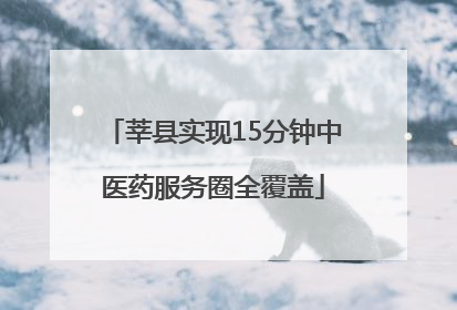 莘县实现15分钟中医药服务圈全覆盖