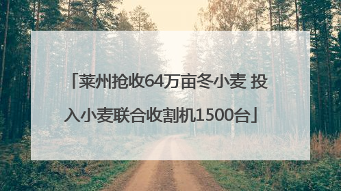 莱州抢收64万亩冬小麦 投入小麦联合收割机1500台