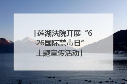 莲湖法院开展“6·26国际禁毒日”主题宣传活动