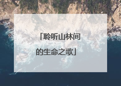 聆听山林间的生命之歌