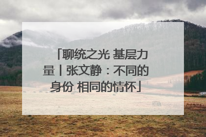 聊统之光 基层力量丨张文静：不同的身份 相同的情怀