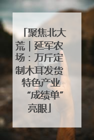 聚焦北大荒｜延军农场：万斤定制木耳发货 特色产业“成绩单”亮眼
