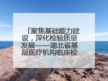 聚焦基础能力建设，深化检验质量发展——湖北省基层医疗机构临床检验质量控制培训班（孝感站）成功举办