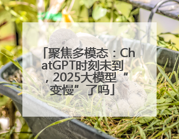 聚焦多模态：ChatGPT时刻未到，2025大模型“变慢”了吗