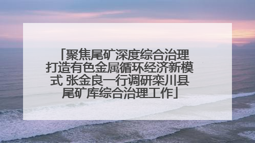 聚焦尾矿深度综合治理 打造有色金属循环经济新模式 张金良一行调研栾川县尾矿库综合治理工作