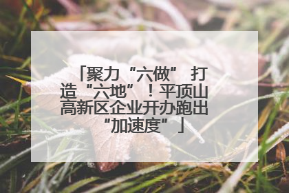 聚力“六做” 打造“六地”！平顶山高新区企业开办跑出“加速度”