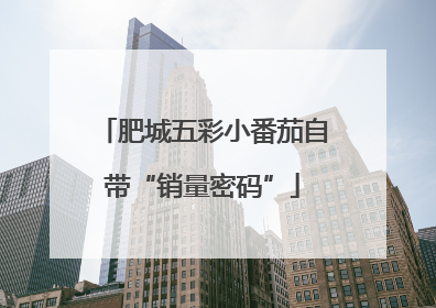 肥城五彩小番茄自带“销量密码”
