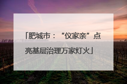 肥城市：“仪家亲”点亮基层治理万家灯火