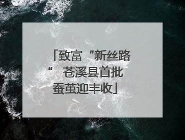 致富“新丝路” 苍溪县首批蚕茧迎丰收
