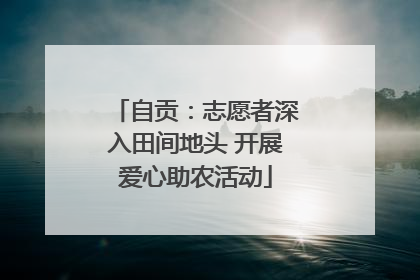 自贡：志愿者深入田间地头 开展爱心助农活动