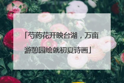 芍药花开映台湖，万亩游憩园绘就初夏诗画