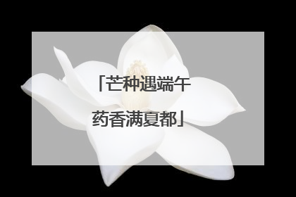 芒种遇端午 药香满夏都