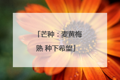 芒种：麦黄梅熟 种下希望