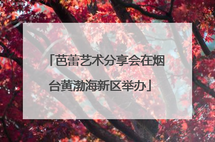 芭蕾艺术分享会在烟台黄渤海新区举办