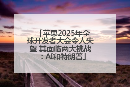 苹果2025年全球开发者大会令人失望 其面临两大挑战：AI和特朗普